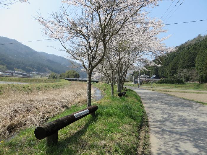 豊能郡能勢町/はらがたわ峠を散策