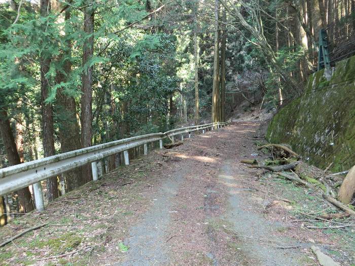 豊能郡能勢町/はらがたわ峠を散策