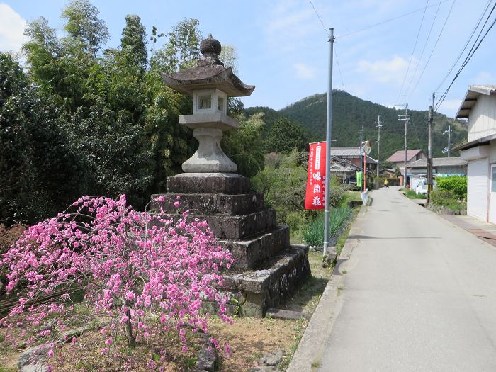 丹波市氷上町/向山連山を散策