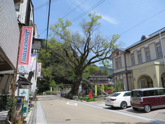 丹波市氷上町/向山連山を散策