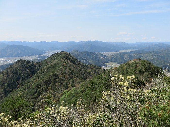 丹波市氷上町/向山連山を散策