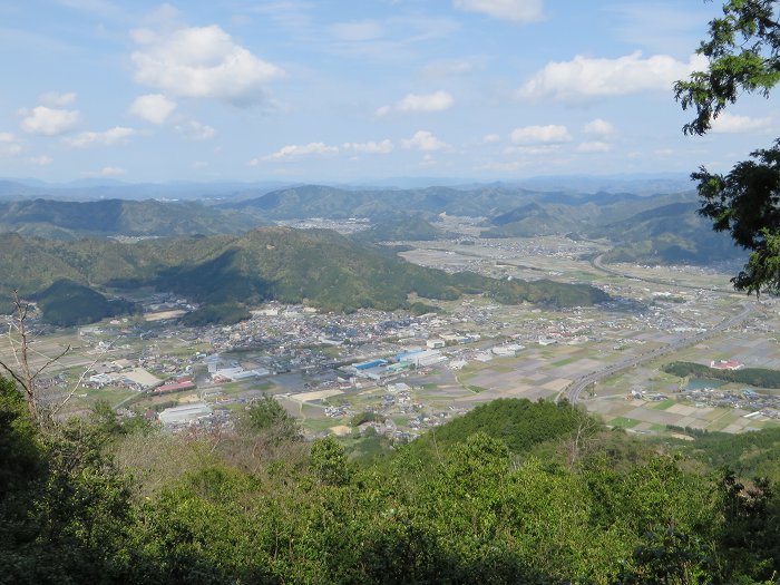 丹波市氷上町/向山連山を散策