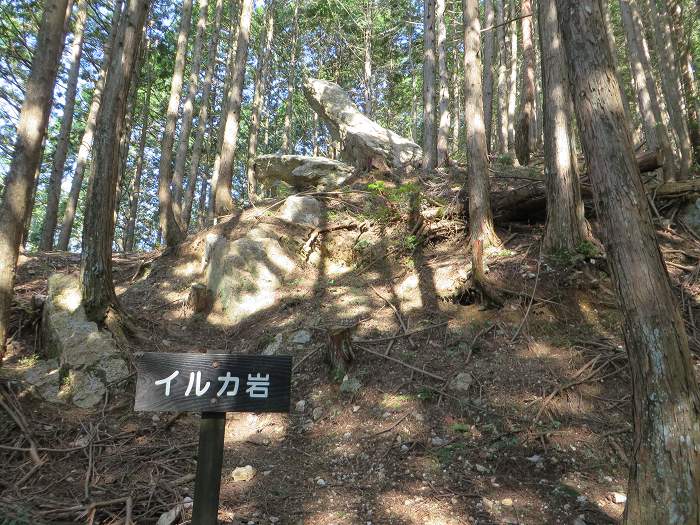 丹波市氷上町/向山連山を散策