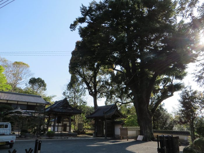 丹波市氷上町/向山連山を散策