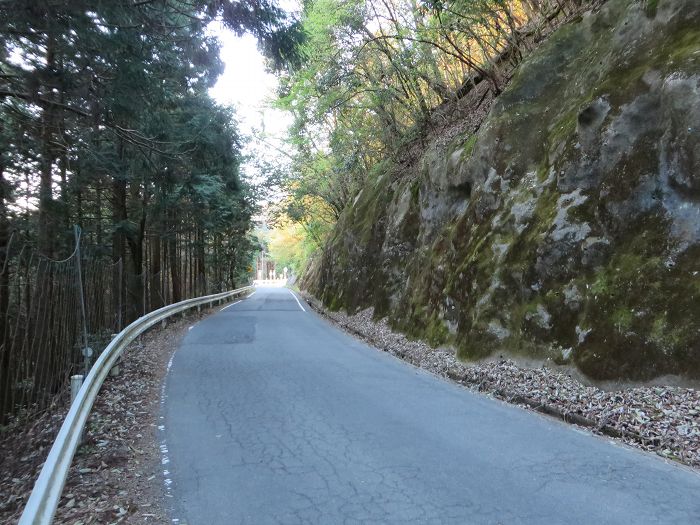 丹波市氷上町/向山連山を散策