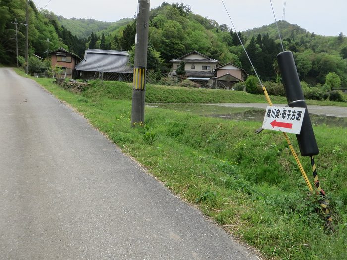 篠山市曽地奥/高嶽～中山を散策