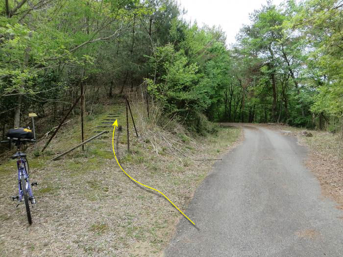 篠山市曽地奥/高嶽～中山を散策