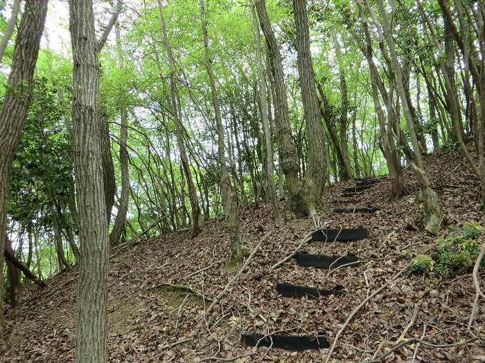 篠山市曽地奥/高嶽～中山を散策