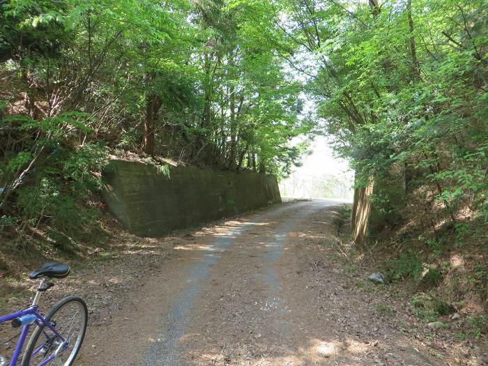 篠山市曽地奥/高嶽～中山を散策