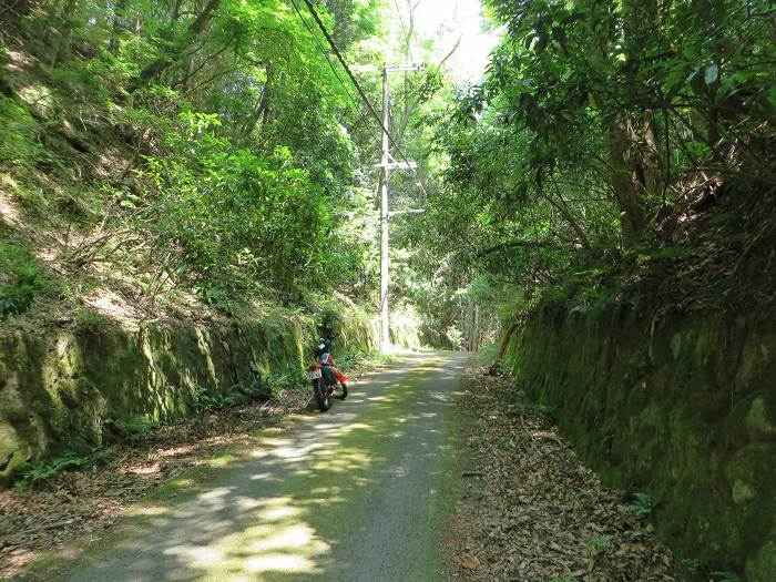 豊能郡/棚田・大ケヤキ～箕面市/勝尾寺～茨木市/総持寺をバイク走り