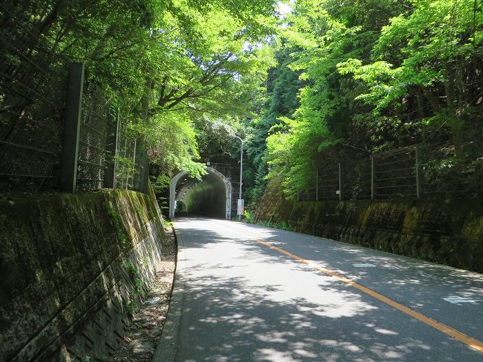 豊能郡/棚田・大ケヤキ～箕面市/勝尾寺～茨木市/総持寺をバイク走り