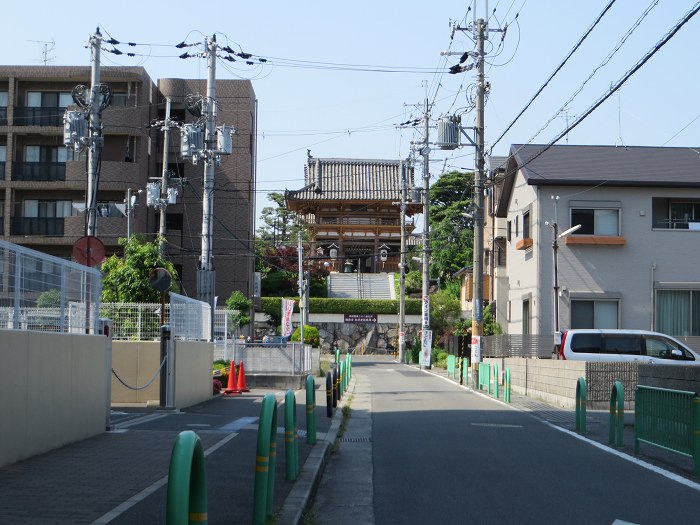 豊能郡/棚田・大ケヤキ～箕面市/勝尾寺～茨木市/総持寺をバイク走り