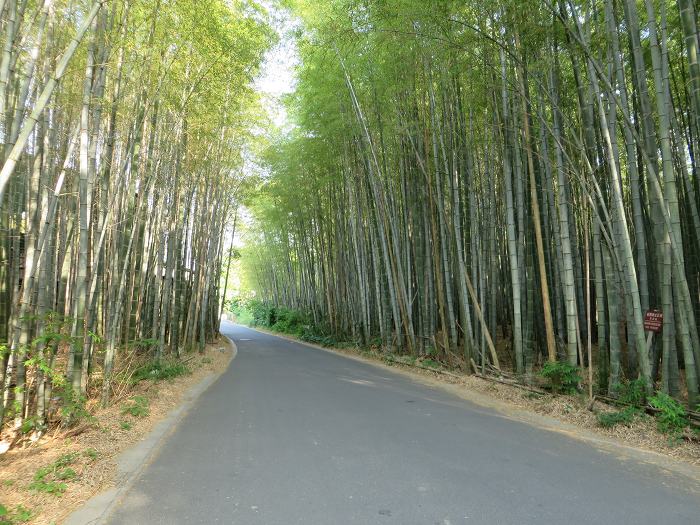 豊能郡/棚田・大ケヤキ～箕面市/勝尾寺～茨木市/総持寺をバイク走り