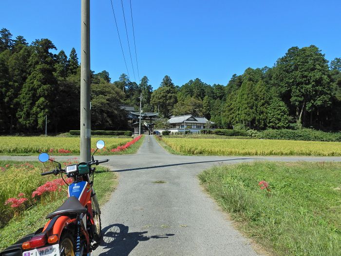 朝来市方面をバイク走り