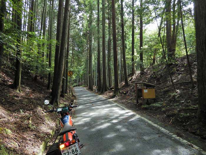 京都市右京区嵯峨/六丁峠をバイク走り