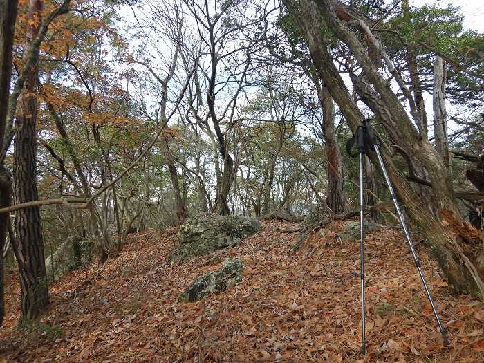 篠山市小枕/火打ヶ嶽～天王峠～虚空蔵山～殿町/法光寺山を散策