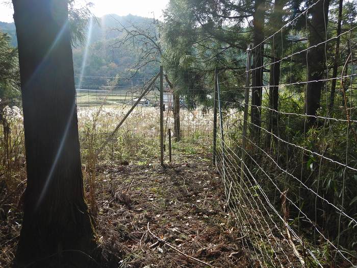 篠山市小枕/火打ヶ嶽～天王峠～虚空蔵山～殿町/法光寺山を散策