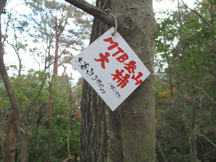 篠山市大山下/大谷山～大山上/井谷山を散策