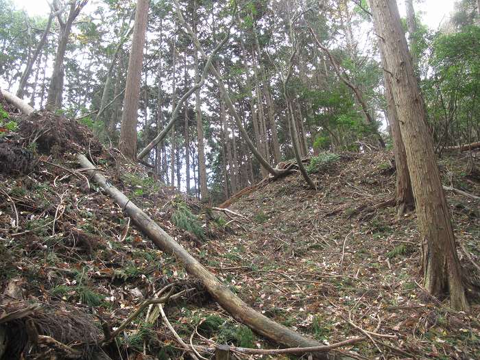 篠山市大山下/大谷山～大山上/井谷山を散策