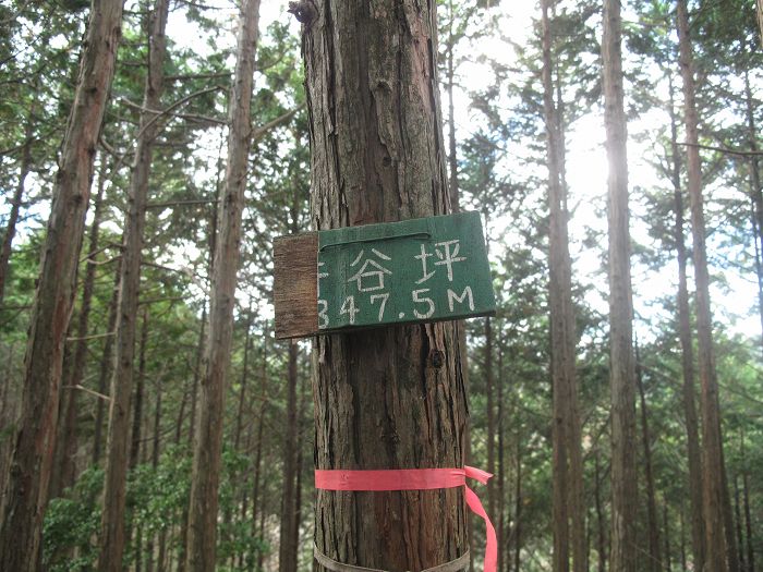 篠山市大山下/大谷山～大山上/井谷山を散策