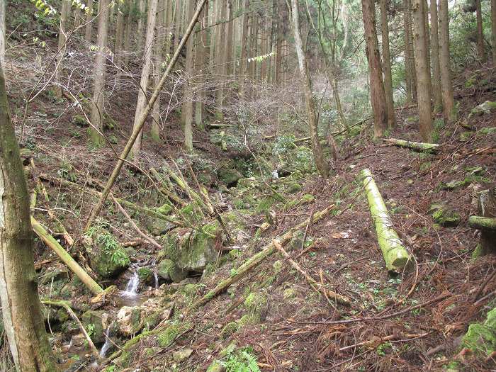 福知山市三和町/鹿倉山～八川山を散策