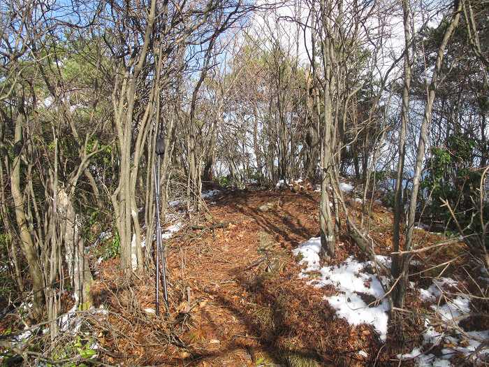 福知山市三和町/鹿倉山～八川山を散策