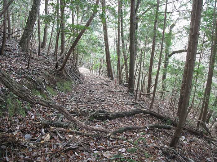 福知山市三和町/鹿倉山～八川山を散策