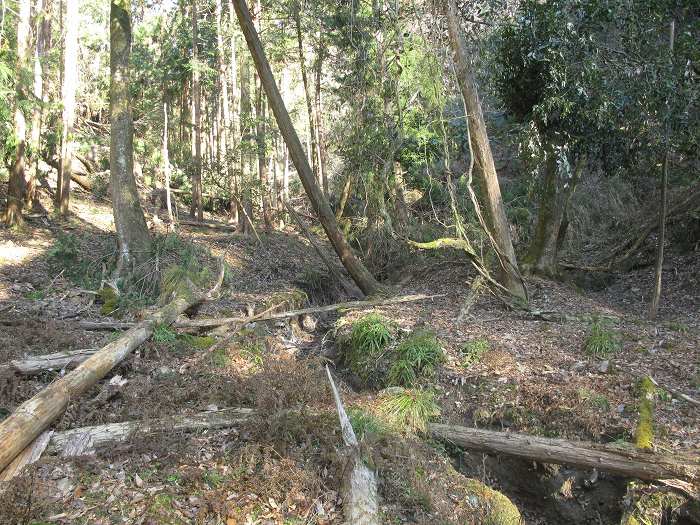 篠山市大熊/笛吹山～大期山を散策