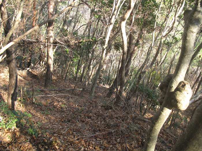 篠山市大熊/笛吹山～大期山を散策