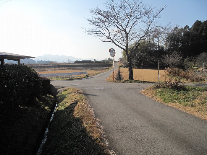 篠山市大熊/笛吹山～大期山を散策