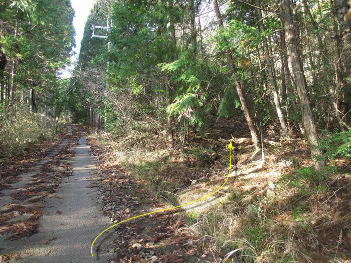 篠山市今田町本荘/北山を散策