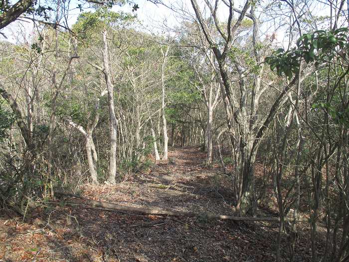 篠山市今田町本荘/北山を散策