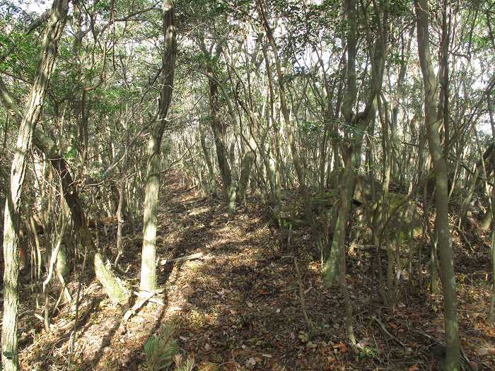 篠山市今田町本荘/北山を散策