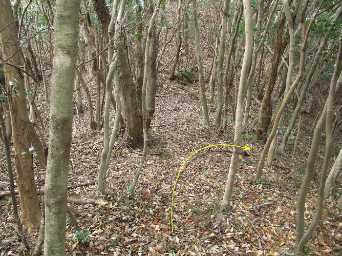 篠山市今田町本荘/北山を散策