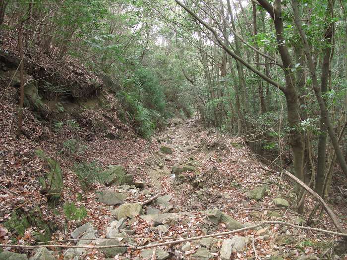 篠山市今田町本荘/北山を散策