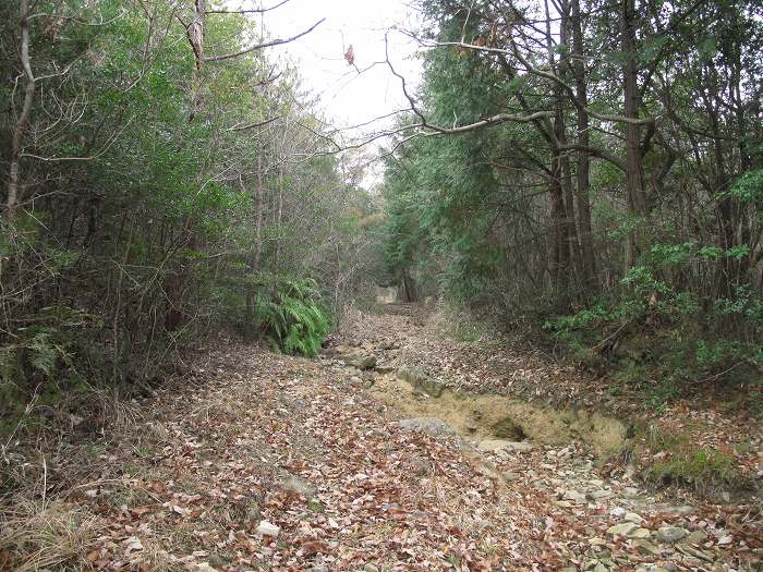 篠山市今田町本荘/北山を散策