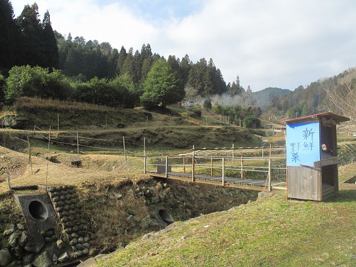 篠山市後川奥/三国ヶ嶽～後川下/君ヶ尾を散策