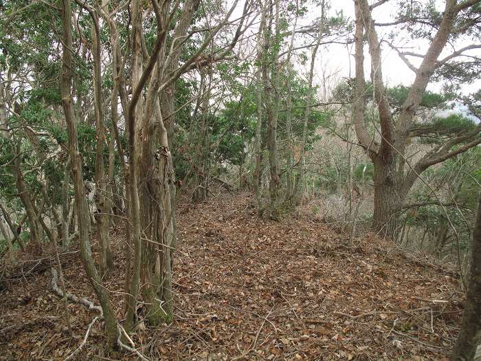 篠山市後川奥/三国ヶ嶽～後川下/君ヶ尾を散策