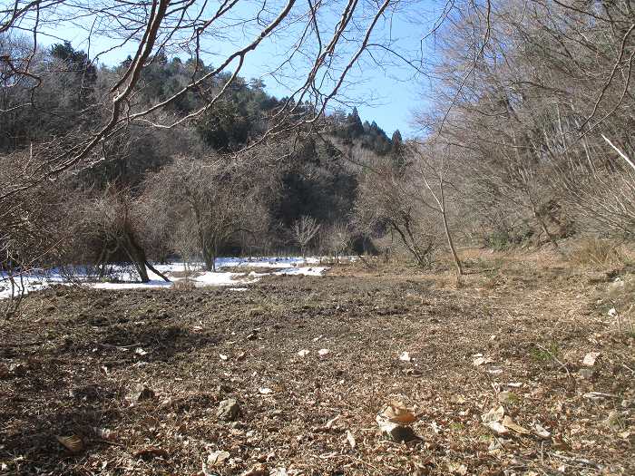 三田市母子/母子大池～篠山市当野/大瘤ヶ嶽～内ヶ蔵谷山を散策