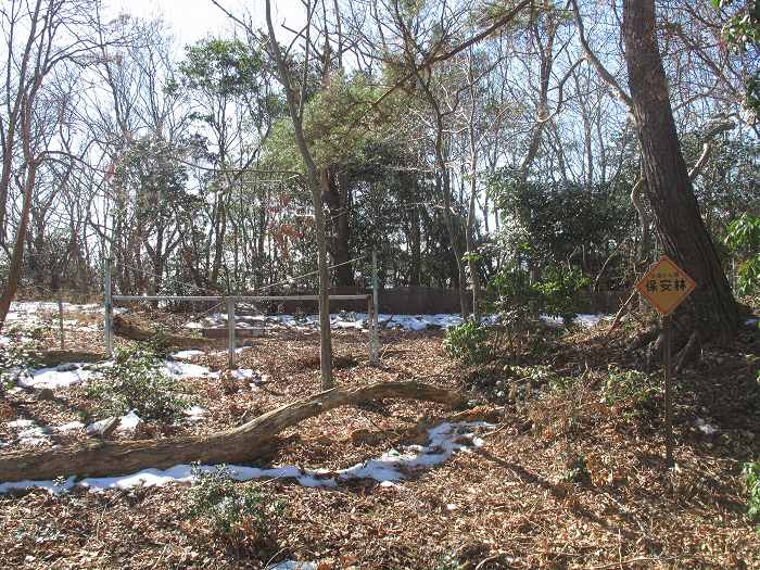 三田市母子/母子大池～篠山市当野/大瘤ヶ嶽～内ヶ蔵谷山を散策