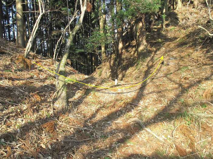 三田市母子/母子大池～篠山市当野/大瘤ヶ嶽～内ヶ蔵谷山を散策