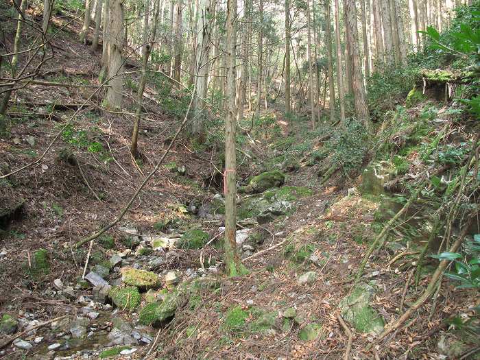 篠山市本郷/サル谷～殿山を散策