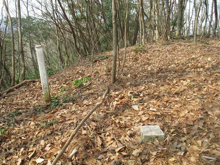 篠山市本郷/サル谷～殿山を散策