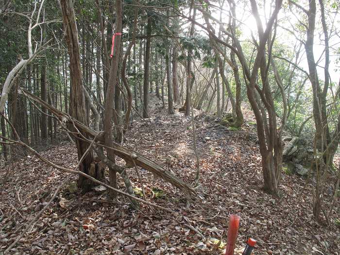 篠山市本郷/サル谷～殿山を散策