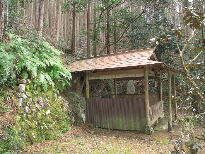 篠山市本郷/サル谷～殿山を散策