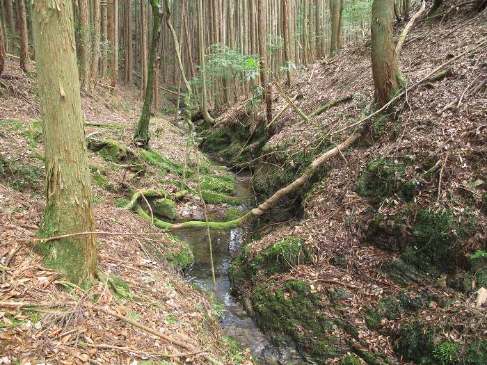 篠山市本郷/サル谷～殿山を散策