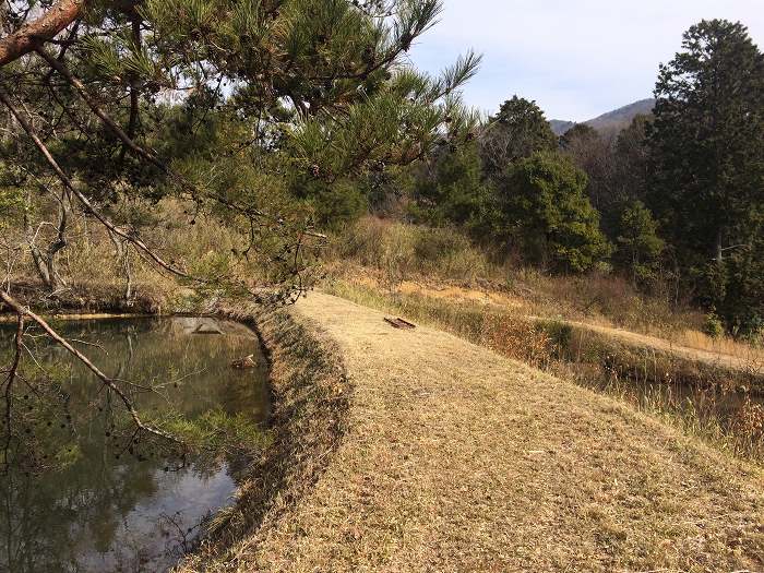 篠山市今田町木津/木津城山～前山を散策