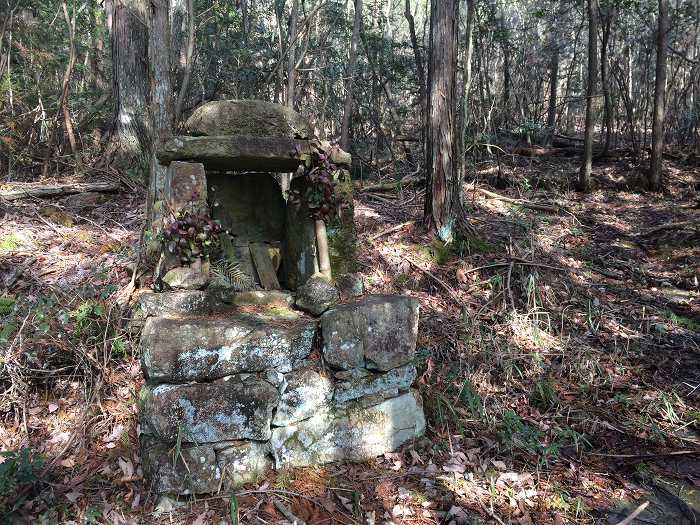 篠山市今田町木津/木津城山～前山を散策