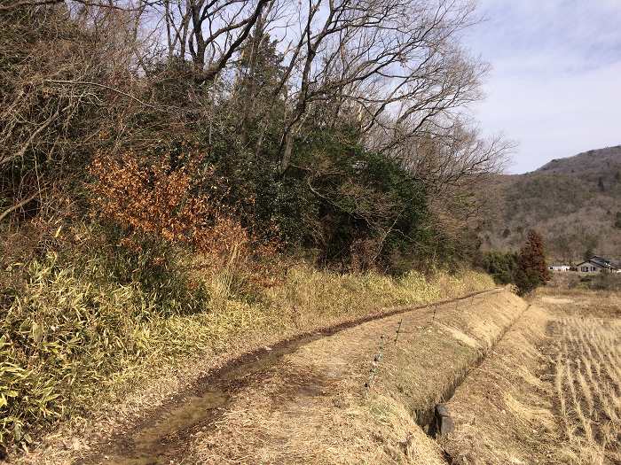 篠山市今田町木津/木津城山～前山を散策