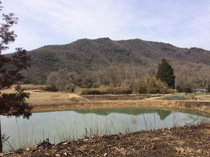 篠山市今田町木津/木津城山～前山を散策